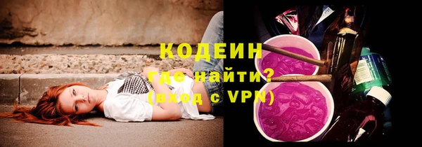 крисы Новозыбков