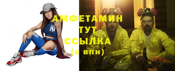 крисы Новозыбков