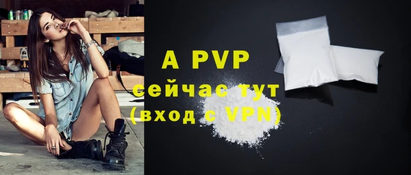 крисы Новозыбков
