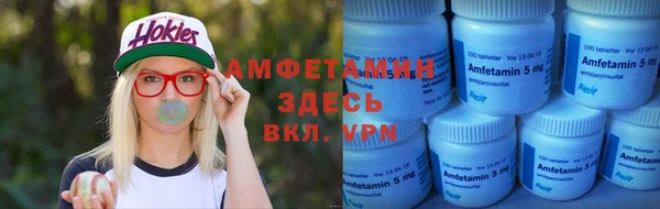 крисы Новозыбков