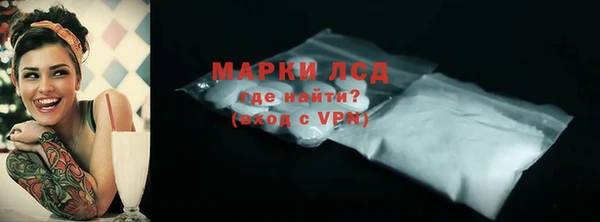 крисы Новозыбков