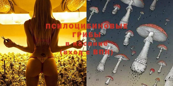 крисы Новозыбков