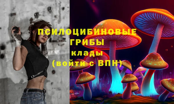 крисы Новозыбков