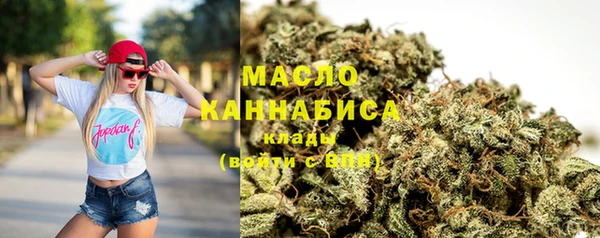крисы Новозыбков