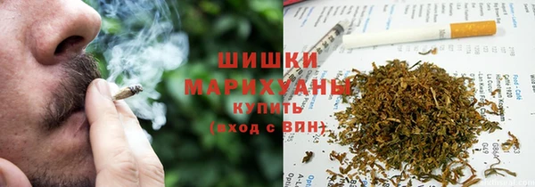 крисы Новозыбков