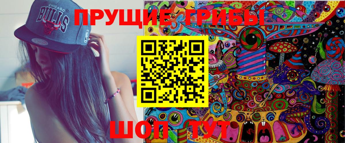 Псилоцибиновые грибы Psilocybe Шали