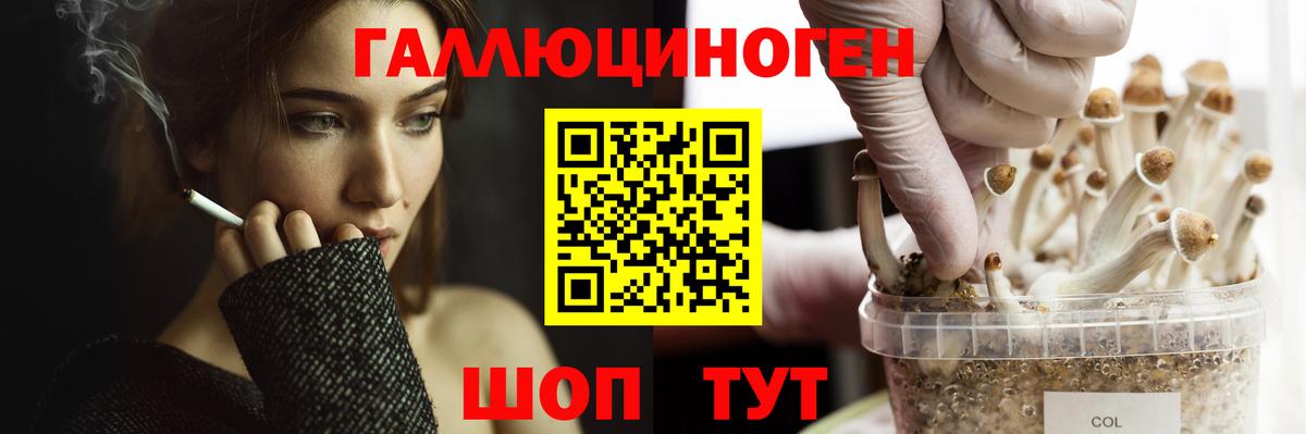 как найти закладки  Псилоцибиновые грибы мицелий  Вход с VPN  Шали 